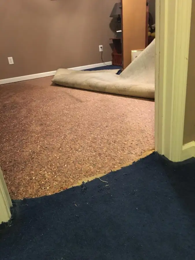 Carpet pad removal revealing water damage during Drying & Dehumidification in Castle Rock